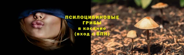 спиды Ступино