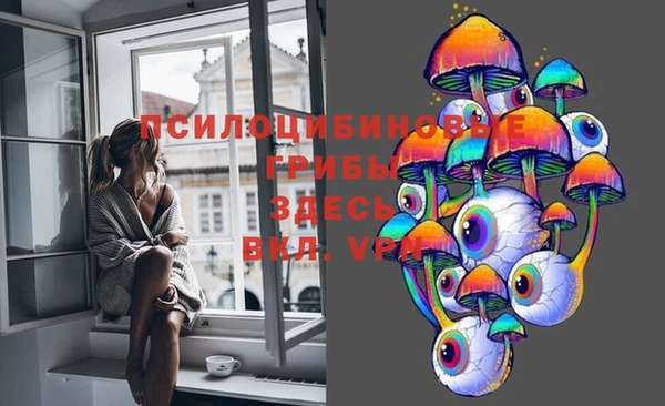 СК Богородицк