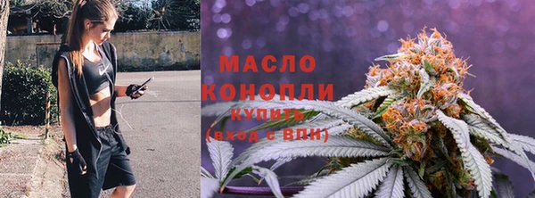 стаф Бородино